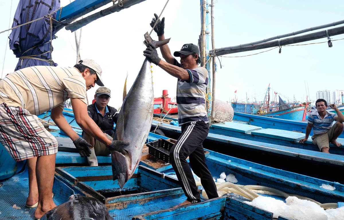 Đến 2025, 100% tàu cá hoạt động vùng khơi lắp thiết bị giám sát hành trình